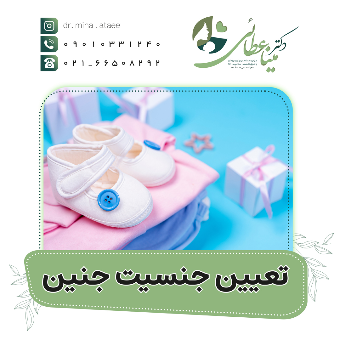 تعیین جنسیت جنین