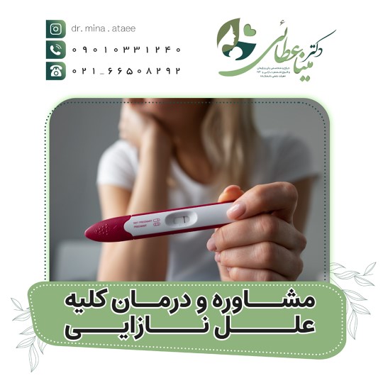 مشاوره و درمان کلیه علل نازایی