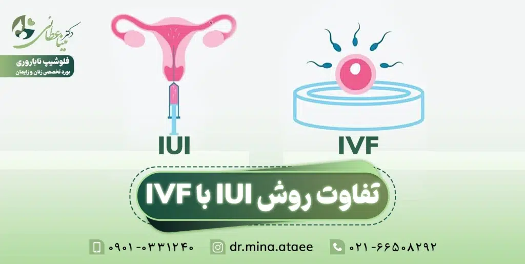 تفاوت روش IUI با IVF